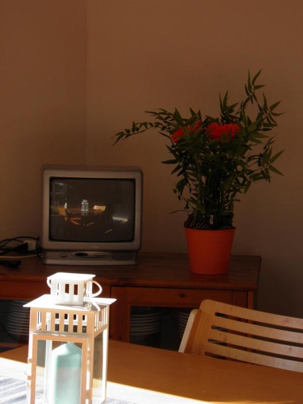 פרינצ'יפינה א מארה Maremmare Tuscany Apartments מראה חיצוני תמונה