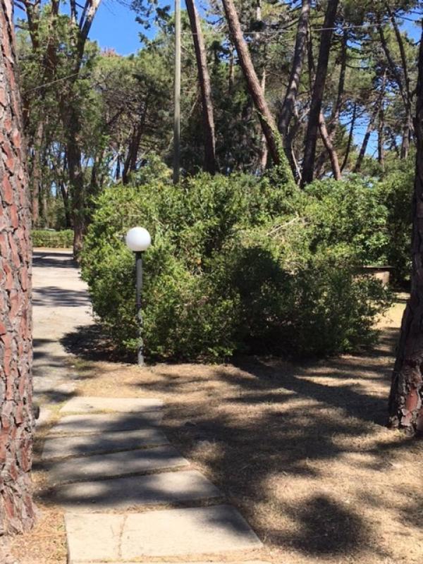 פרינצ'יפינה א מארה Maremmare Tuscany Apartments מראה חיצוני תמונה